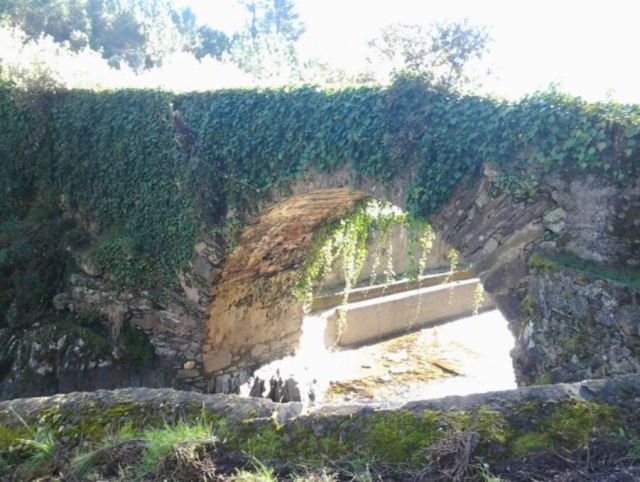  Von Efeu bedeckte Brücke 